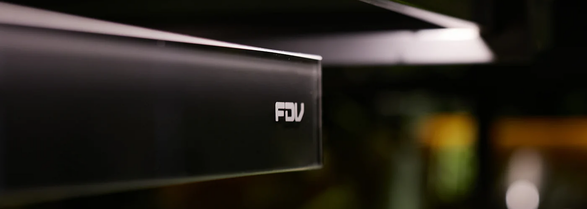 FDV